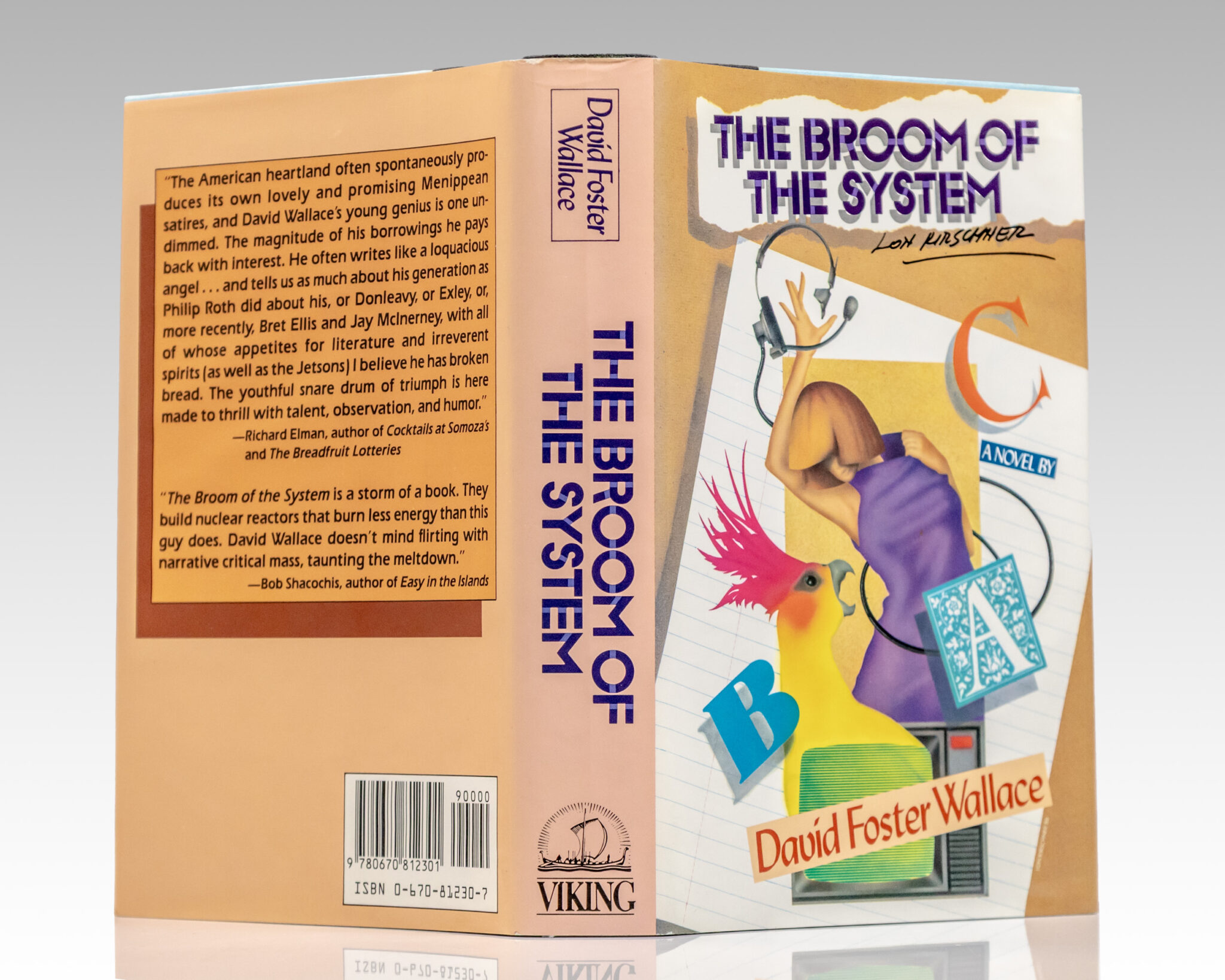 The Broom of the System.