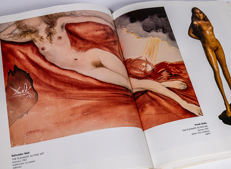 The Art of Playboy.