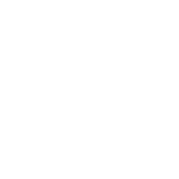 Curated Collections