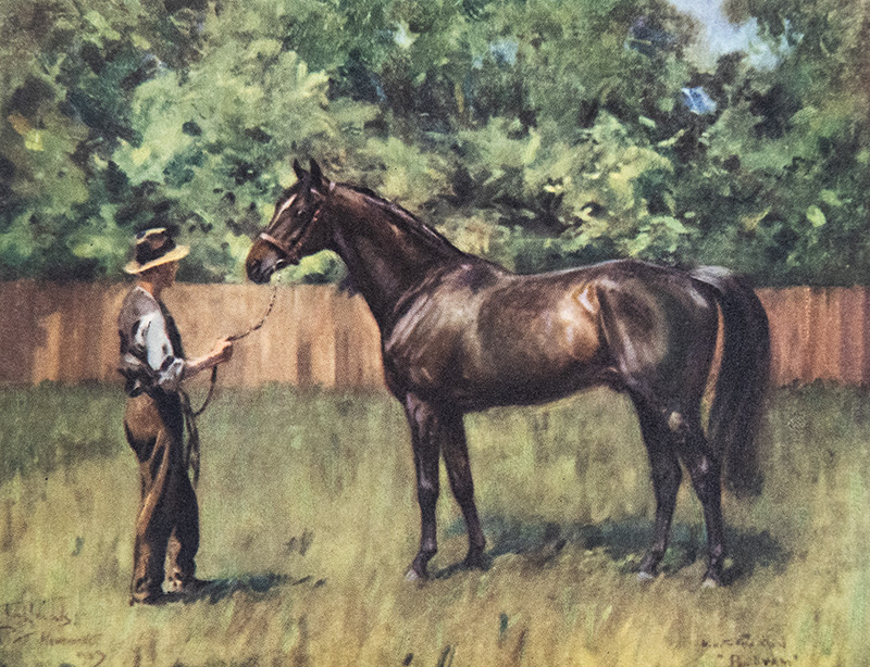 The Aga Khan's Horses.