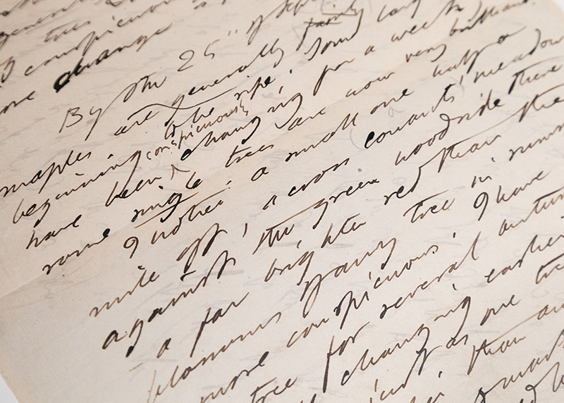 The Manuscript Edition of The Writings of Henry David Thoreau. - Image 2