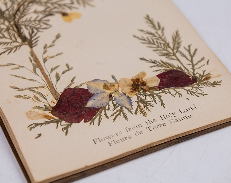 Flowers from the Holy Land: Fleurs de Terre Sainte. - Image 6