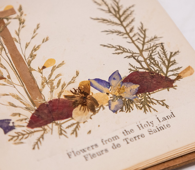 Flowers from the Holy Land: Fleurs de Terre Sainte. - Image 8