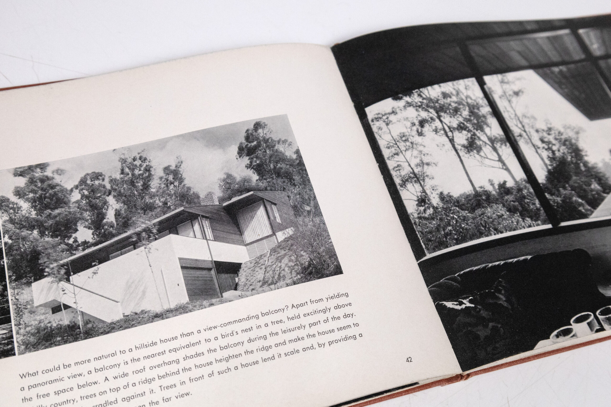 Mystery and Realities of the Site. - Image 2